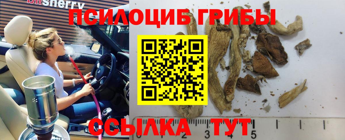 Галлюциногенные грибы Magic Shrooms  Вход с VPN  Каменск-Шахтинский 